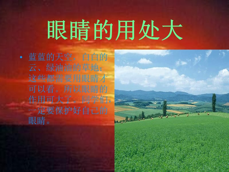 鹿西义校林妮妮.ppt_第2页