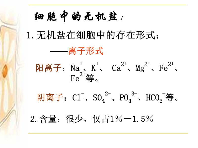 水-生命之源.ppt_第3页