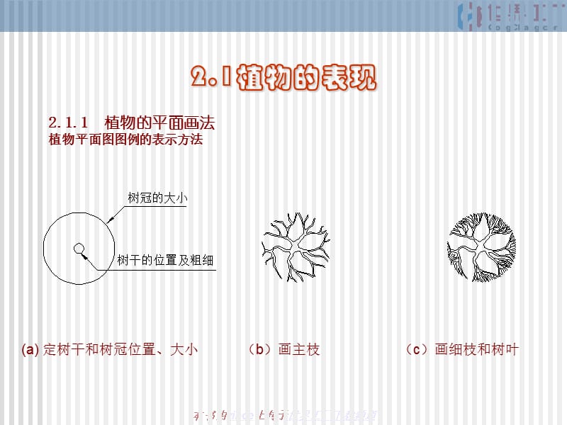 园林制图第二章.ppt_第2页