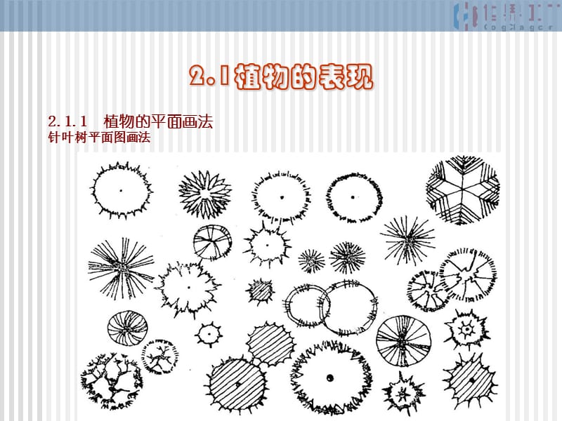 园林制图第二章.ppt_第3页