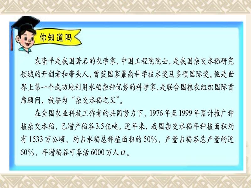 人过八旬粮满二九袁隆平畅谈中国超级杂交稻.ppt_第3页