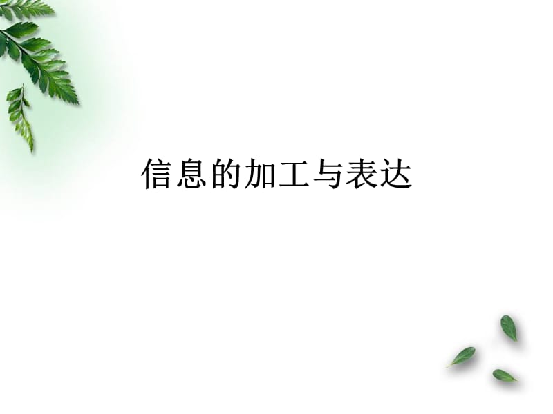 信息的加工与表达.ppt_第1页