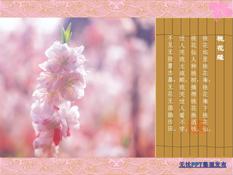 桃花ppt课件.ppt_第2页