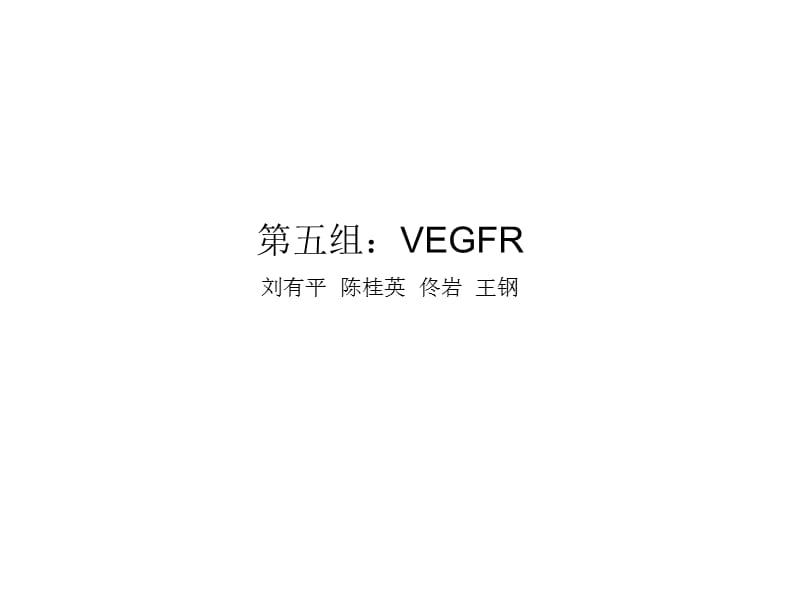 五组VEGFR刘有平陈桂英佟岩王钢.ppt_第1页