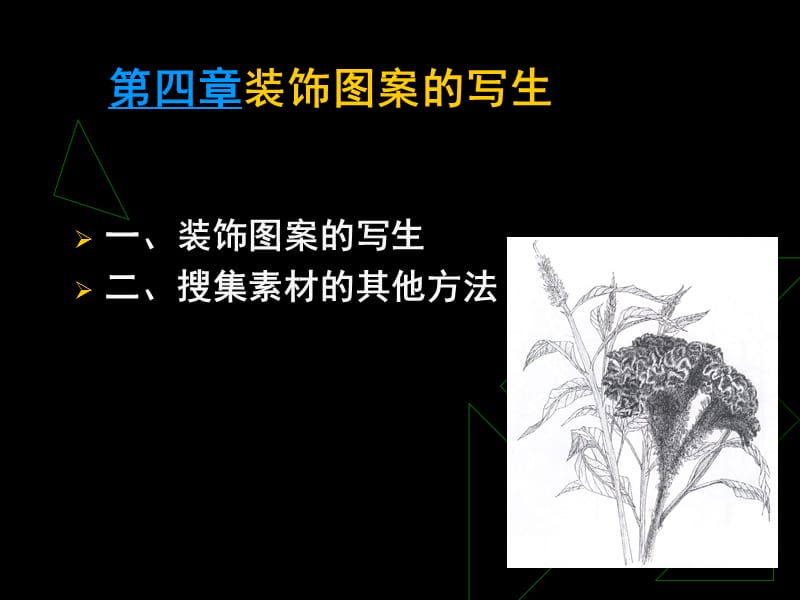 一装饰图案的写生二搜集素材的其他方法.ppt_第1页