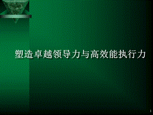 塑造卓越领导力与高效执行力.ppt