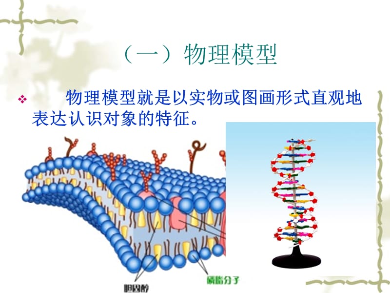 模型构建定稿.ppt_第3页