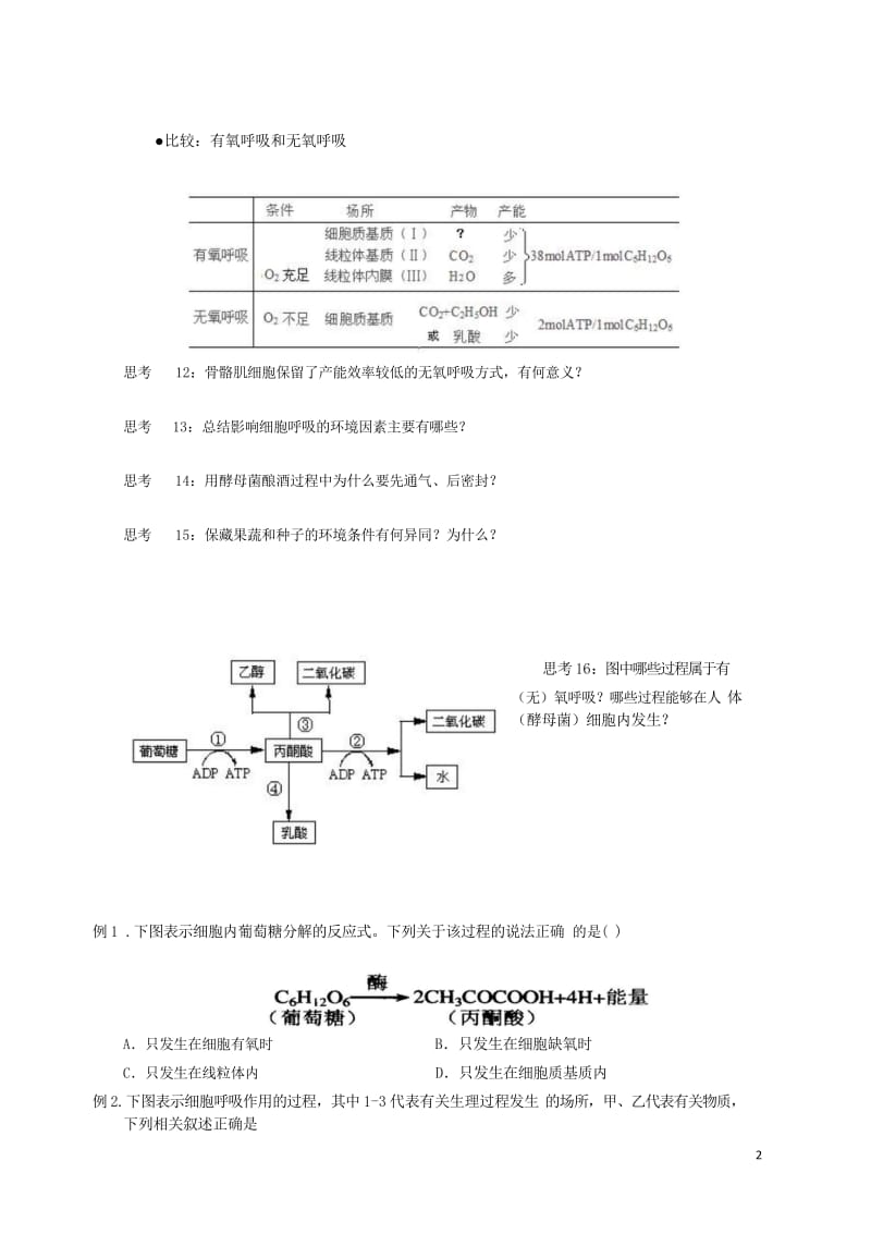 2018版高中生物总复习第5章细胞的能量供应和利用第3讲ATP+的主要来源__细胞呼吸讲义新人教版必.wps_第2页