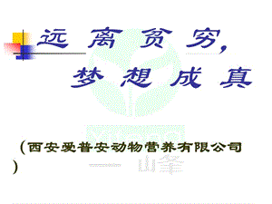 梦想成就未来.ppt.ppt