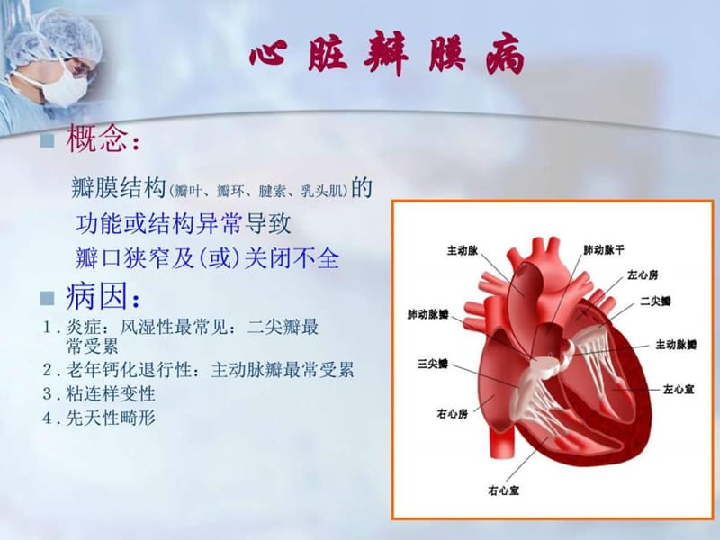 《心脏瓣膜病(1)》PPT课件.ppt_第2页