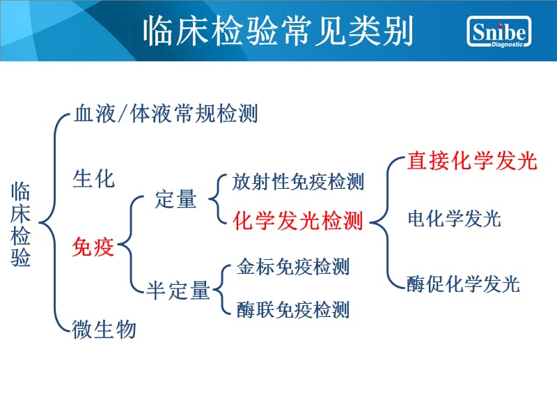 mp化学发光系统简介.ppt_第2页