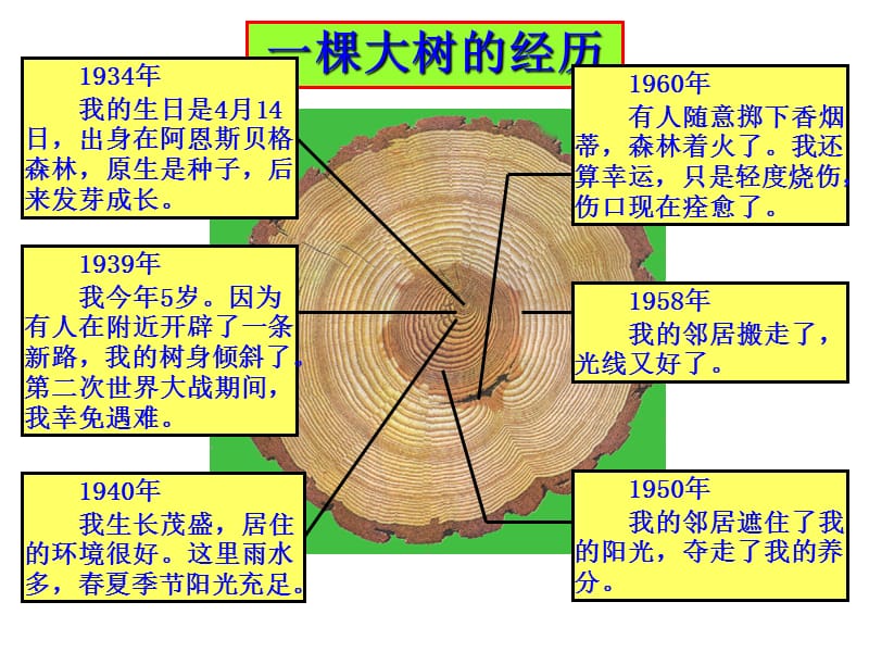 高等教师岗前培训教育法规讲稿.ppt_第3页