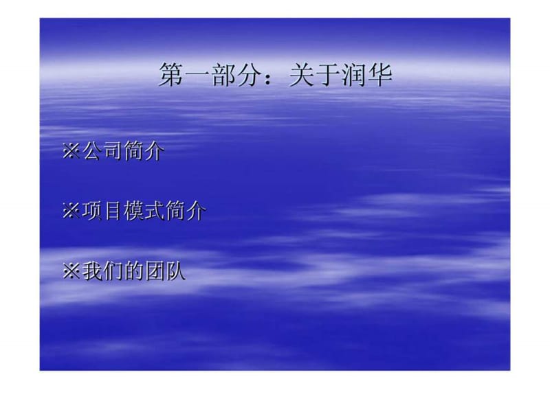 e润华国际卖场商业推广计划.ppt_第2页