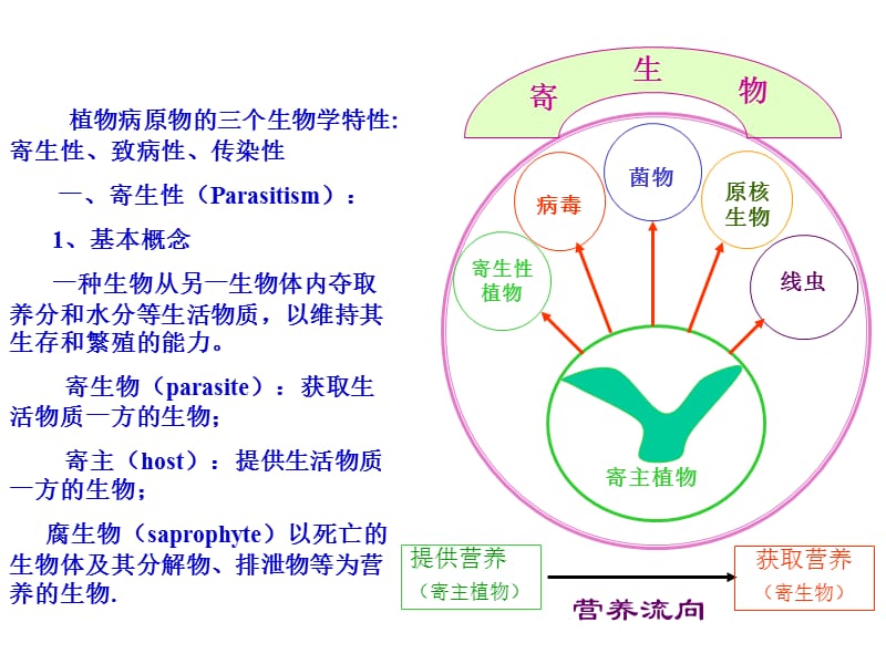 第三章植物侵染性病害的发生发展.ppt_第3页