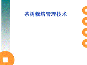 茶树栽培管理技术第一部分.ppt