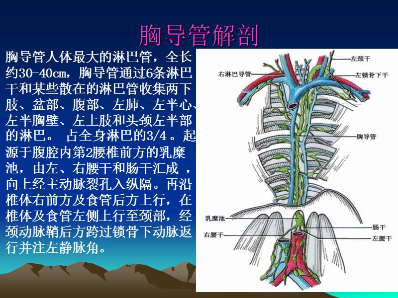 《乳糜胸韦方宁》ppt课件.ppt_第3页