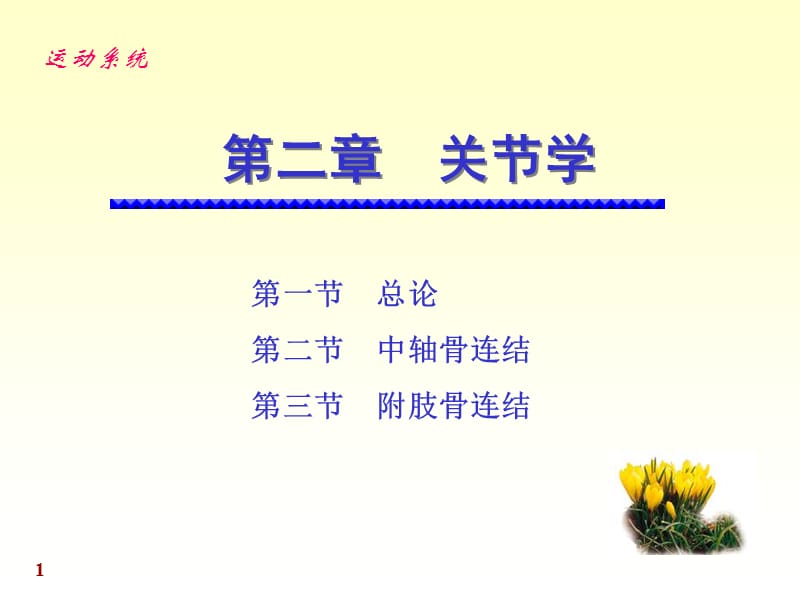 chapter02关节学ppt课件.ppt_第1页