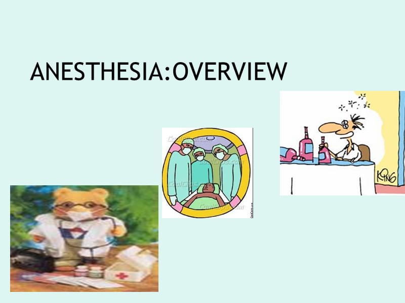 anesthesiaoverviewppt课件.ppt_第1页