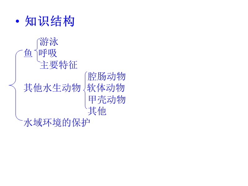 第一节水中生活的动物.ppt_第3页