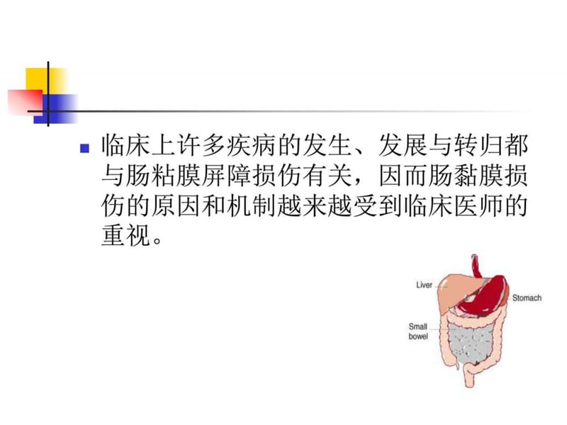 《肠内营养》PPT课件.ppt_第2页