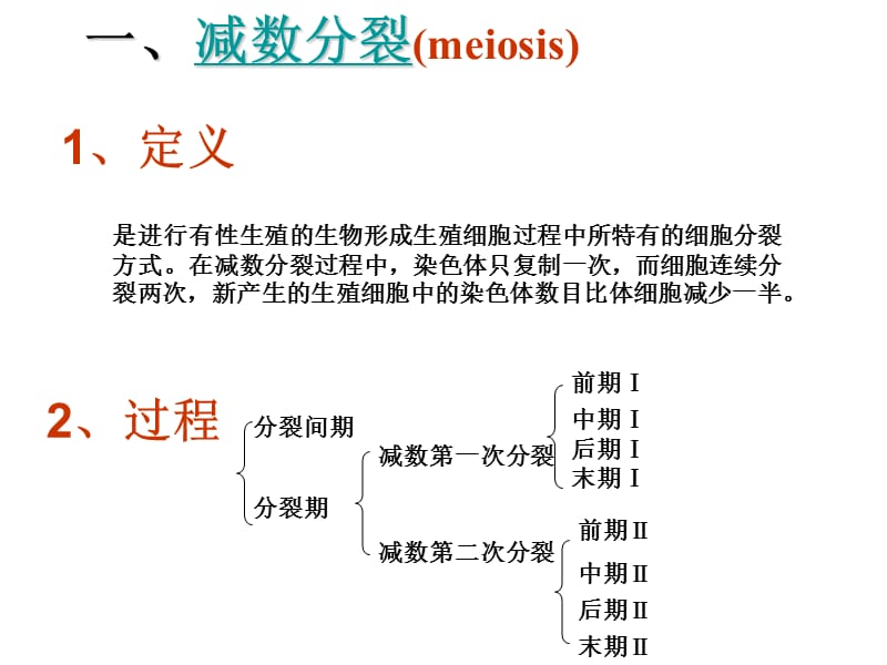 江苏省连云港灌云县第一中学高中生物必修二《遗传与进化》知识点课件2.ppt_第1页