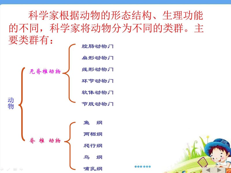 《腔肠动物和扁形动物》参考课件.ppt_第3页