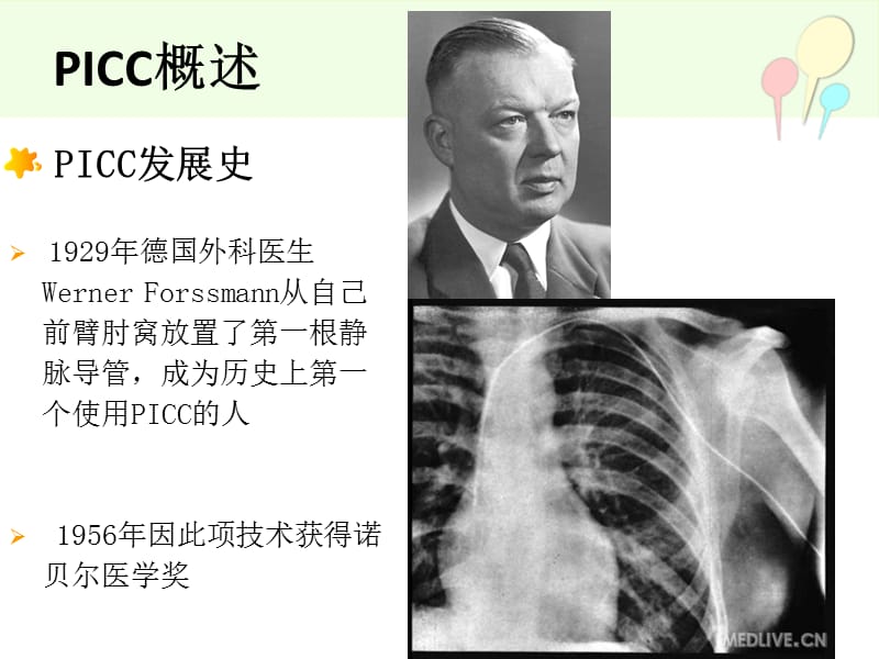 《picc置管评估》PPT课件.ppt_第3页