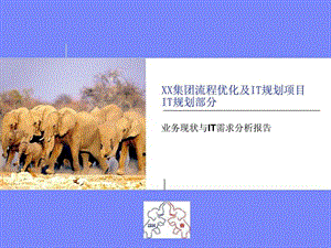 XX公司IT战略规划.ppt