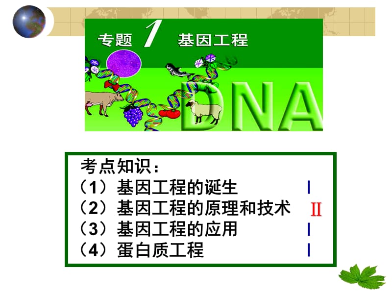 DNA重组技术的基本工具.ppt_第2页