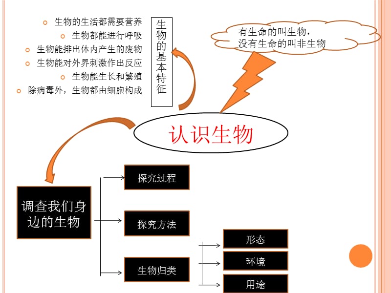 第一节生物圈及生物圈中的食物链.ppt_第2页