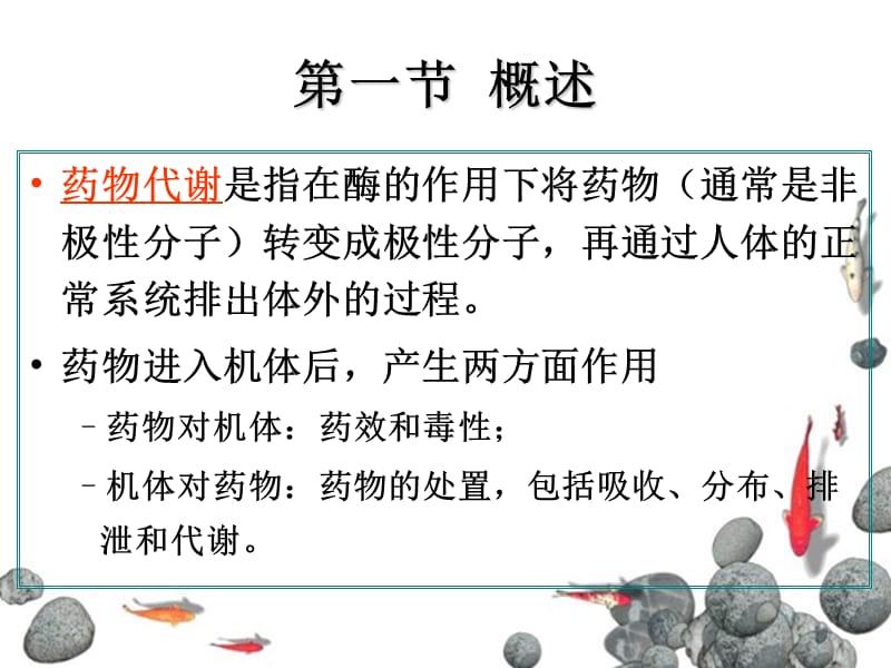 第十四章药物代谢反应.ppt_第2页