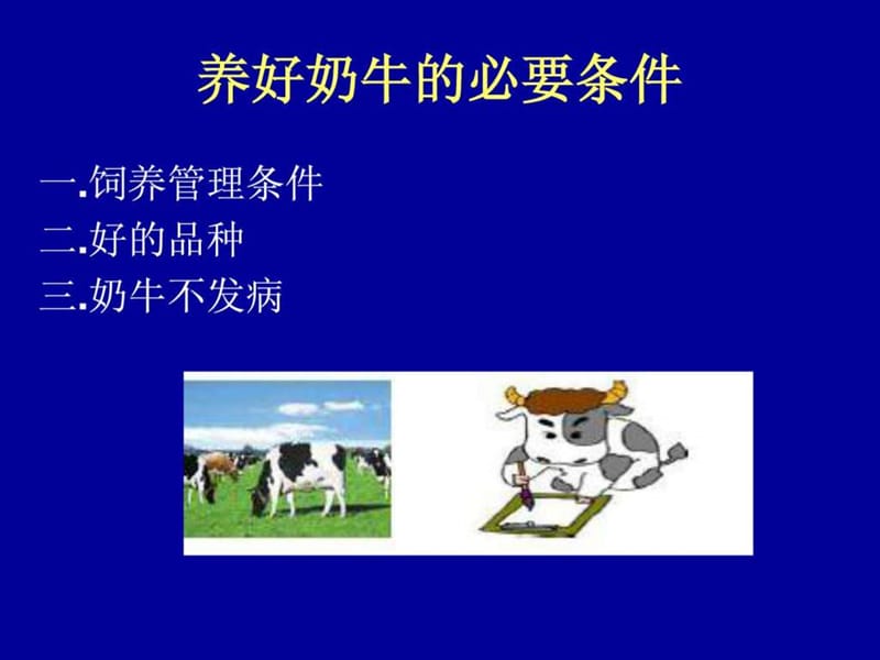 《怎样养好奶牛》PPT课件.ppt_第3页