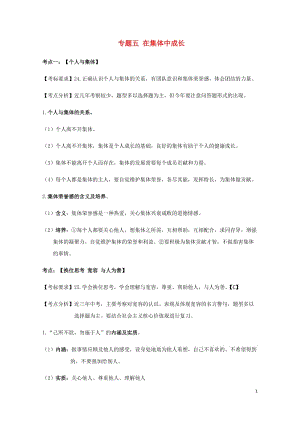 云南省2019年中考道德与法治专题复习五在集体中成长知识点梳理20190522113.docx