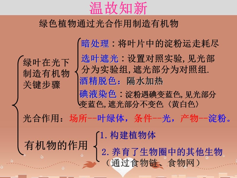 河北省平泉县第四中学七年级生物上册 3.5.1 光合作用吸收二氧化碳释放氧气课件 （新版）新人教版.ppt_第1页