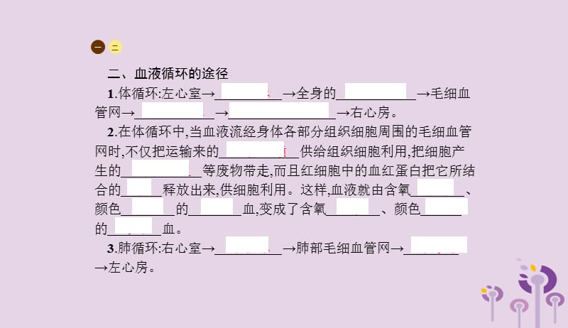 2019年春七年级生物下册第四章人体内物质的运输第三节输送血液的泵_心脏课件新版新人教版20190409169.pptx_第3页