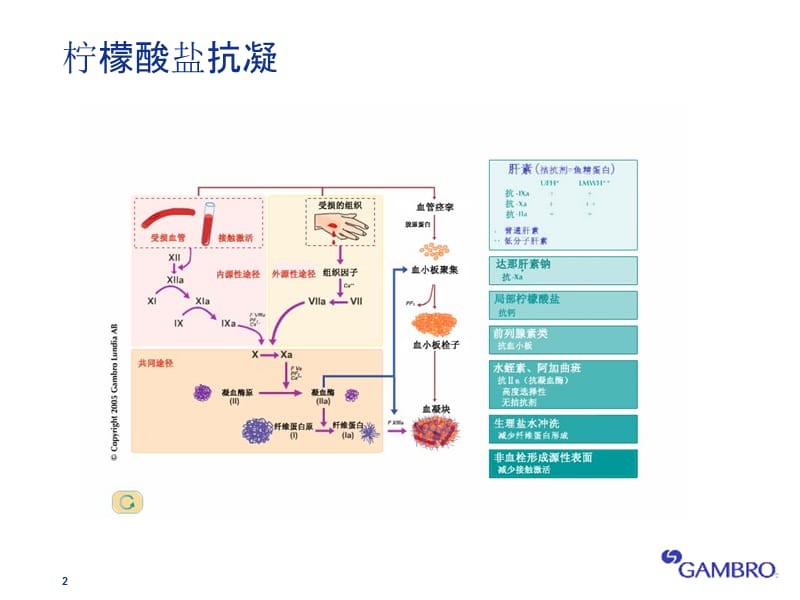 《柠檬酸盐抗凝》ppt课件.ppt_第2页