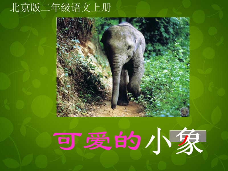 二年级语文上册 可爱的小象 3课件 北京版.ppt_第1页