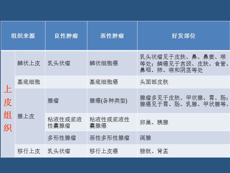 常见肿瘤的病理分类ppt课件.ppt_第3页