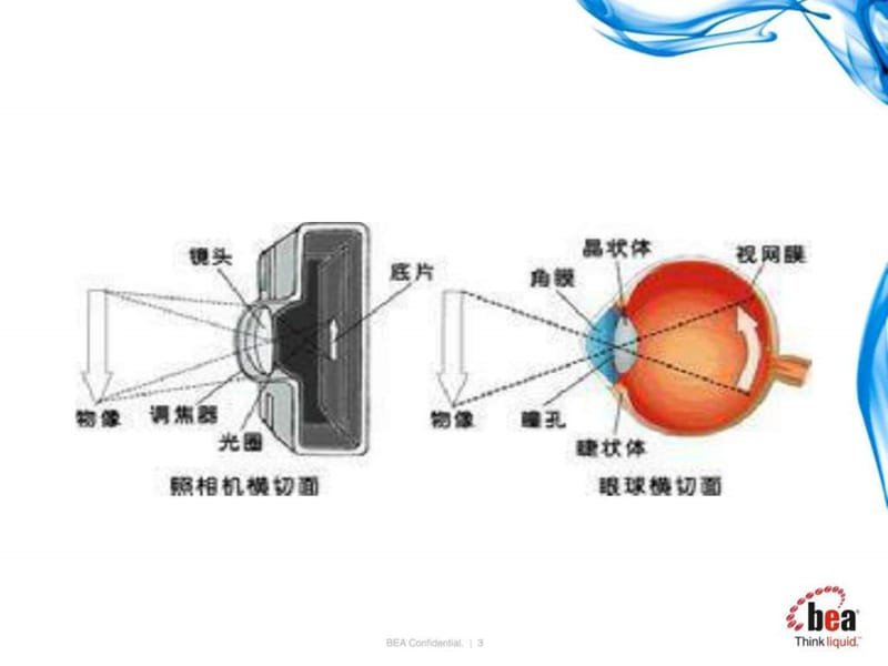 《眼科护理知识点》PPT课件.ppt_第3页