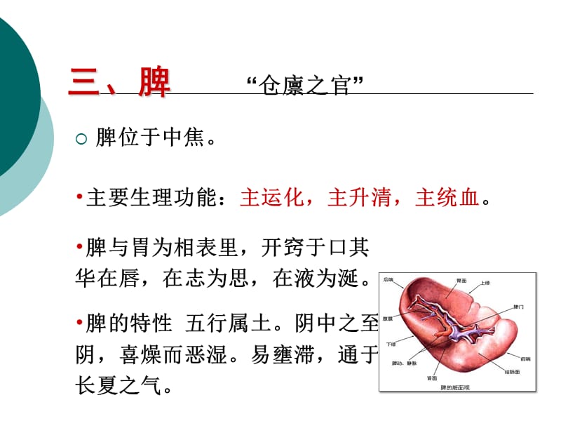 中医基础脾肝肾ppt课件.ppt_第1页