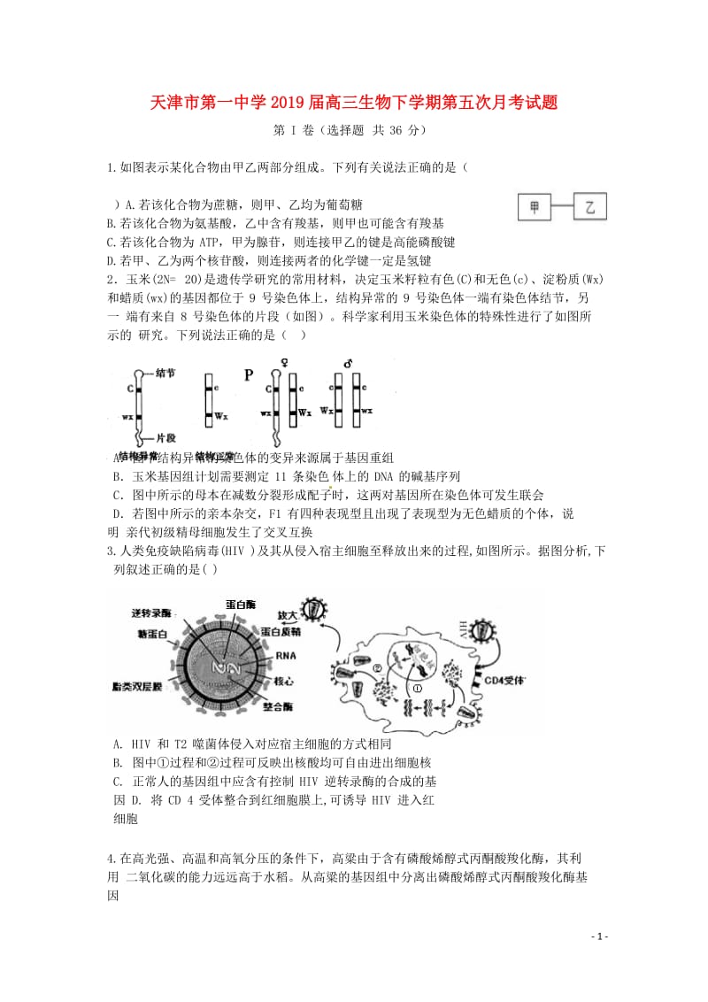 天津市第一中学2019届高三生物下学期第五次月考试题201905290288.doc_第1页