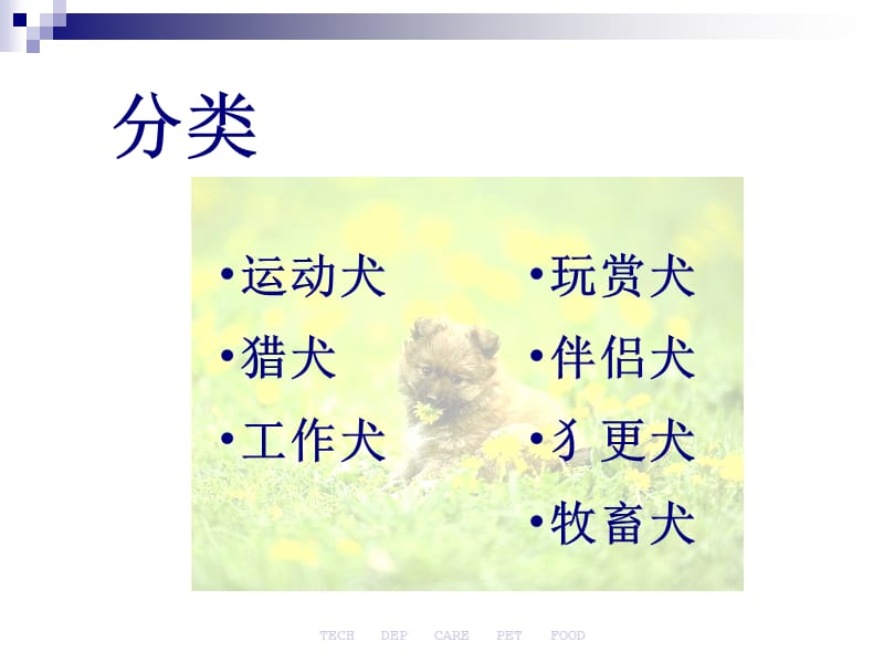 《宠物知识培训》PPT课件.ppt_第2页