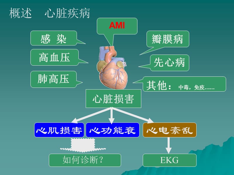 心肌损伤标记物与amippt课件.ppt_第3页