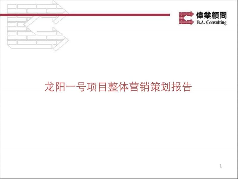 伟业顾问2010年武汉龙阳一号项目整体营销策划报告.ppt_第1页