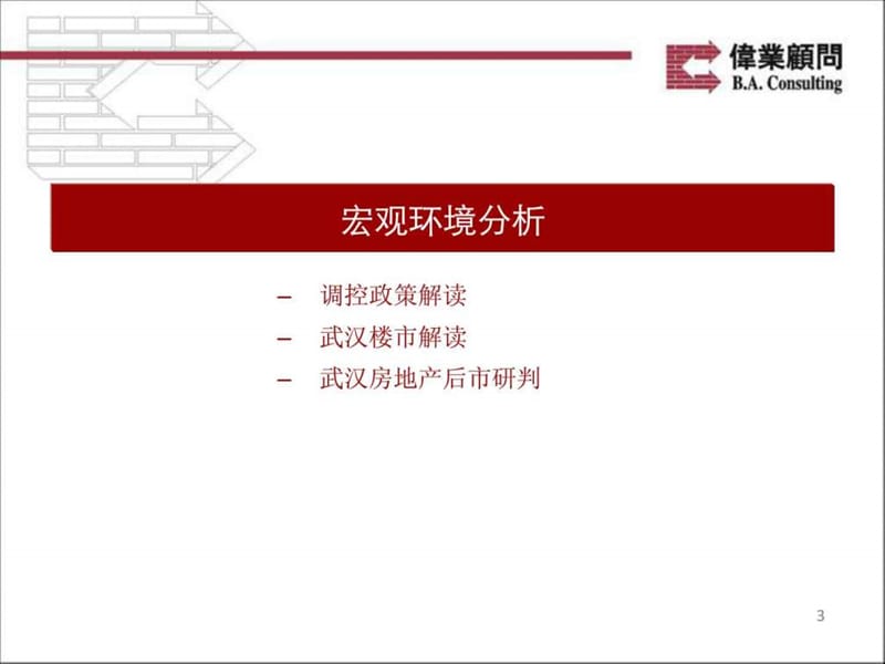 伟业顾问2010年武汉龙阳一号项目整体营销策划报告.ppt_第3页