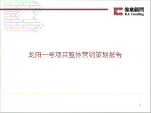 伟业顾问2010年武汉龙阳一号项目整体营销策划报告.ppt