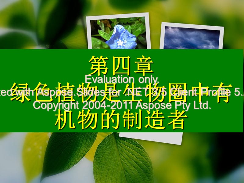 绿色植物通过光合作用制造有机物.ppt_第1页