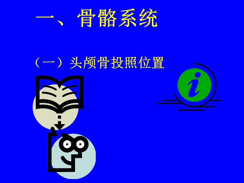 人体各部位X线摄影技术.ppt_第2页