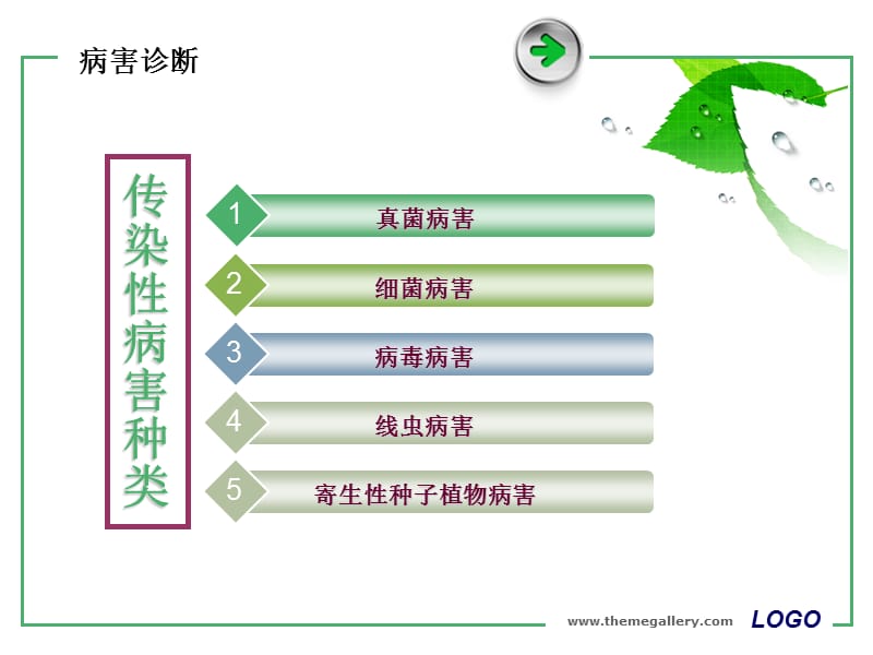 常见真菌病害的诊断ppt课件.ppt_第2页