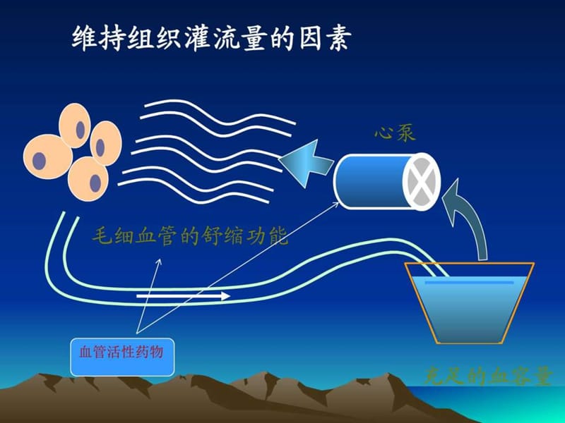 心血管活性药物的使用简述.ppt_第2页